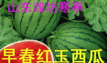 海宁吃瓜爆料公司电话